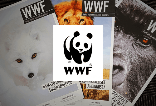 wwf case